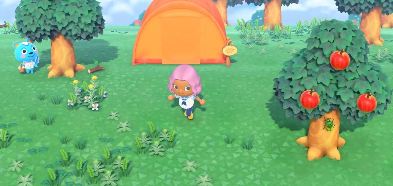 Animal Crossing