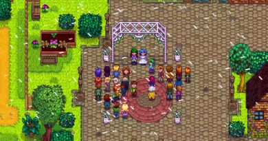 stardew valley update