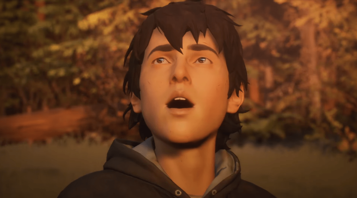 Life strange 2 стим фото 73