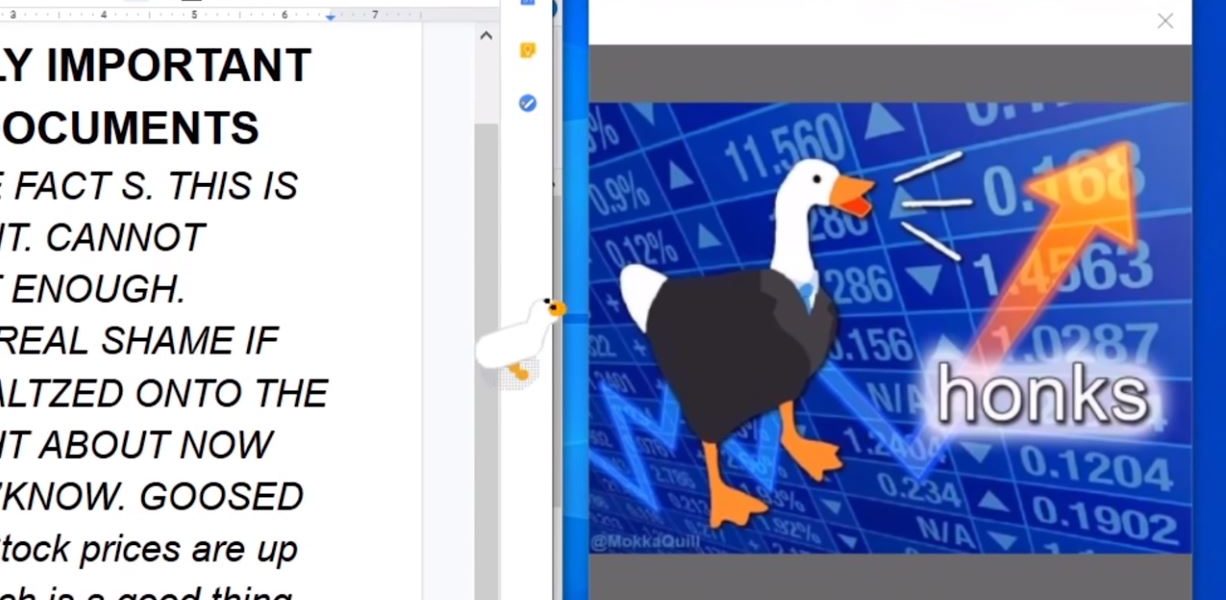 desktop goose