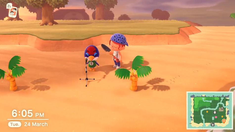 Animal Crossing: new horizons