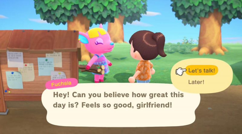 Animal Crossing friendships