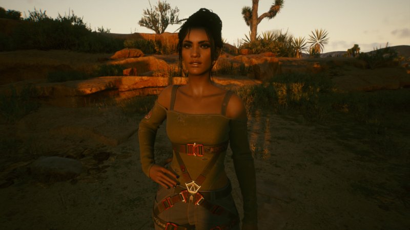 Cyberpunk 2077 trans