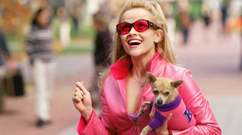 Legally Blonde game
