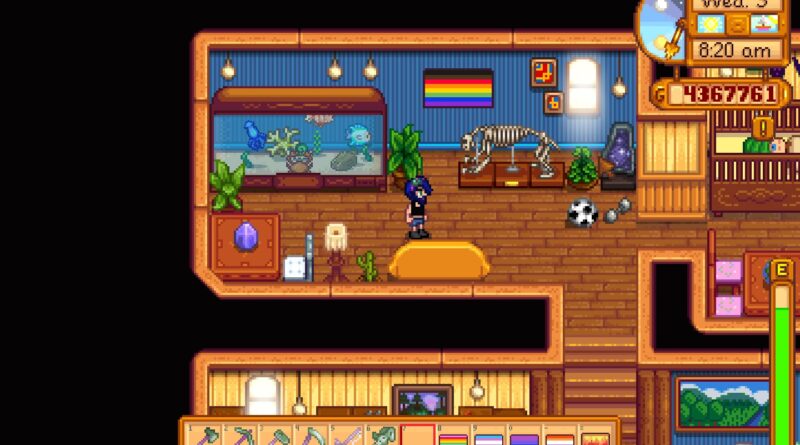 Pride Flag Stardew Valley