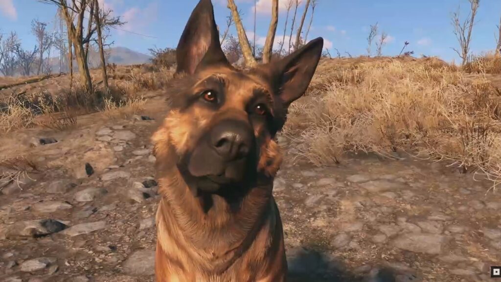 Fallout 4 River Dogmeat