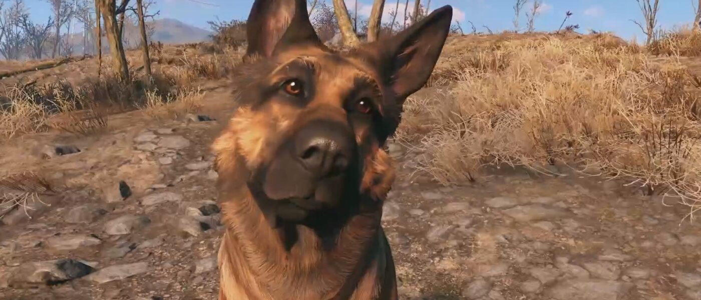 Fallout 4 River Dogmeat