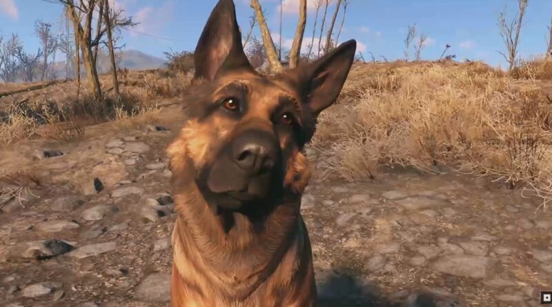 River - the dog that inspired Dogmeat from Fallout 4 - has passed away