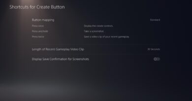 PS5 screenshot icon