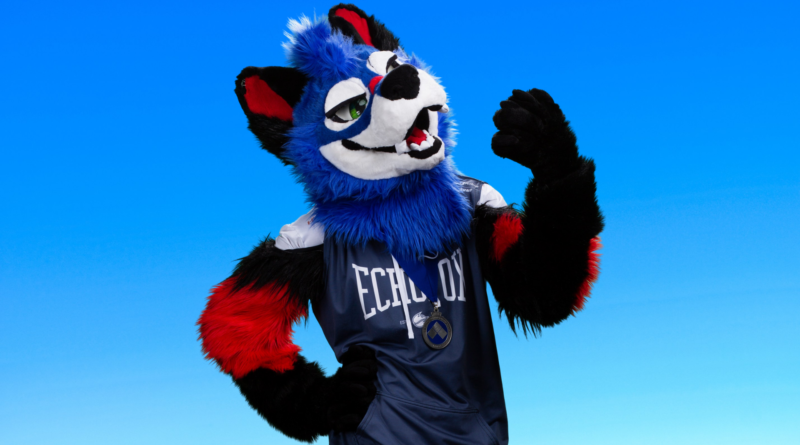 fighting game community