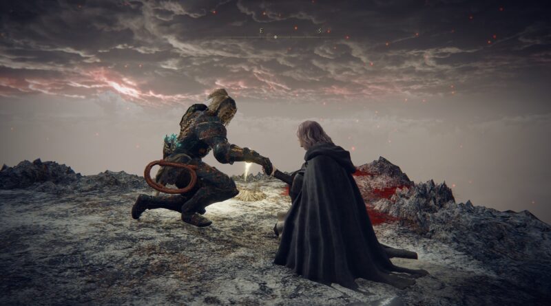 Elden Ring queerness