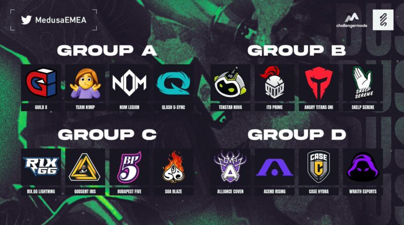 MEDUSA Series groups graphic
