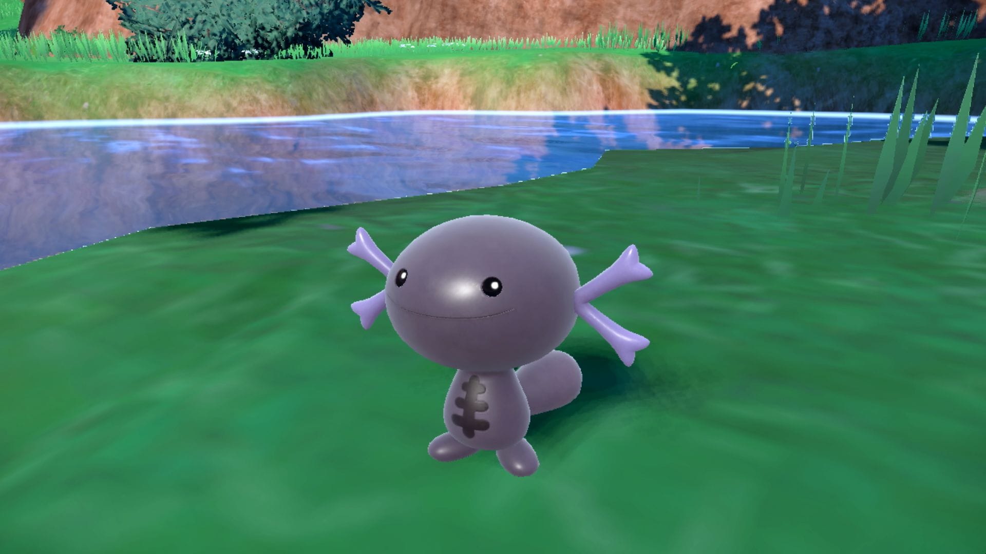 Regional Wooper variant shown in the Pokémon Presents show