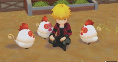 Screenshot from Story of Seasons: A Wonderful Life of a blond character sitting on the ground with some white chickens