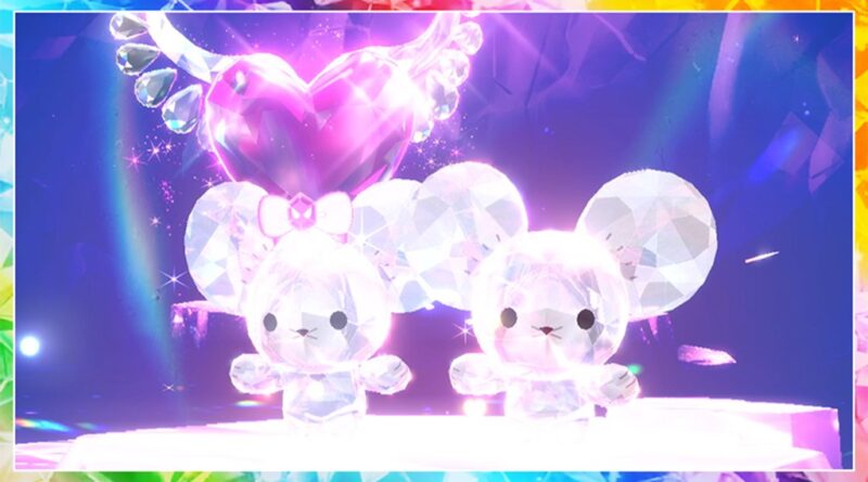 Tandemaus Valentine's raid event picture