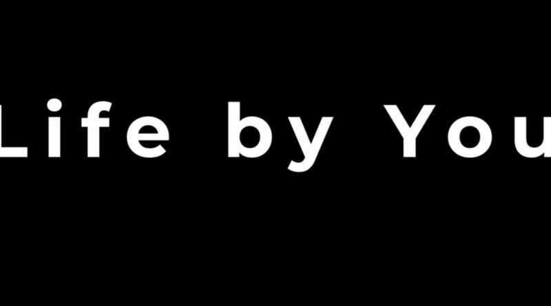 Paradox announces new sim Life By You