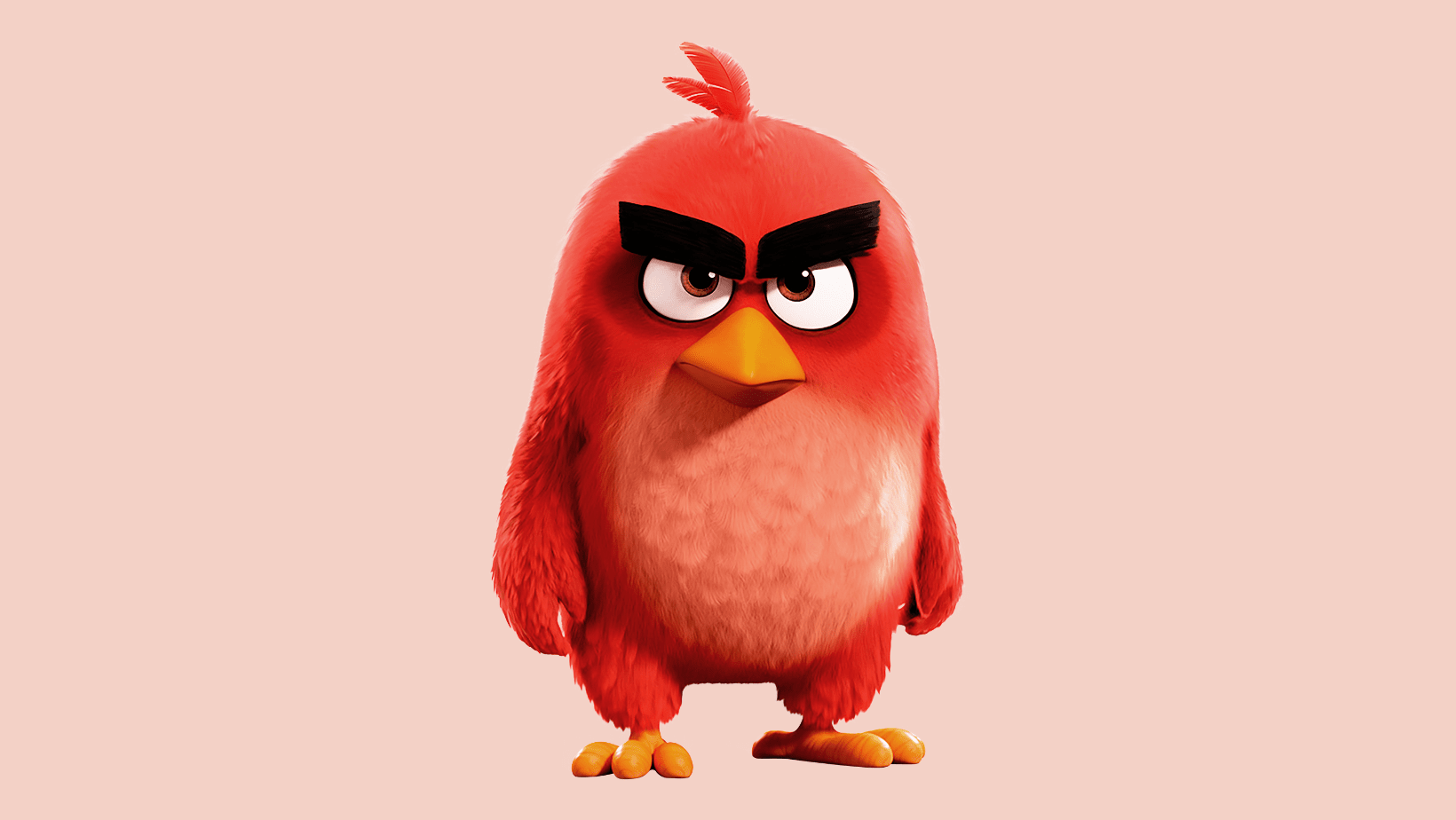 Red from Angry Birds is a surprising, but canonical gay ally ...