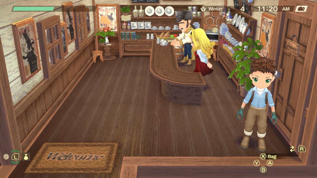 Story of Seasons: A Wonderful Life Romance