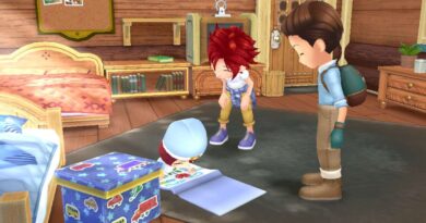 Story of Seasons: A Wonderful Life