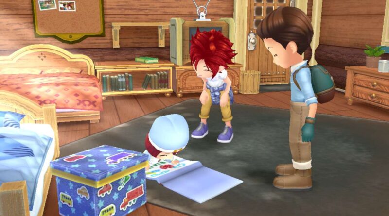 Story of Seasons: A Wonderful Life