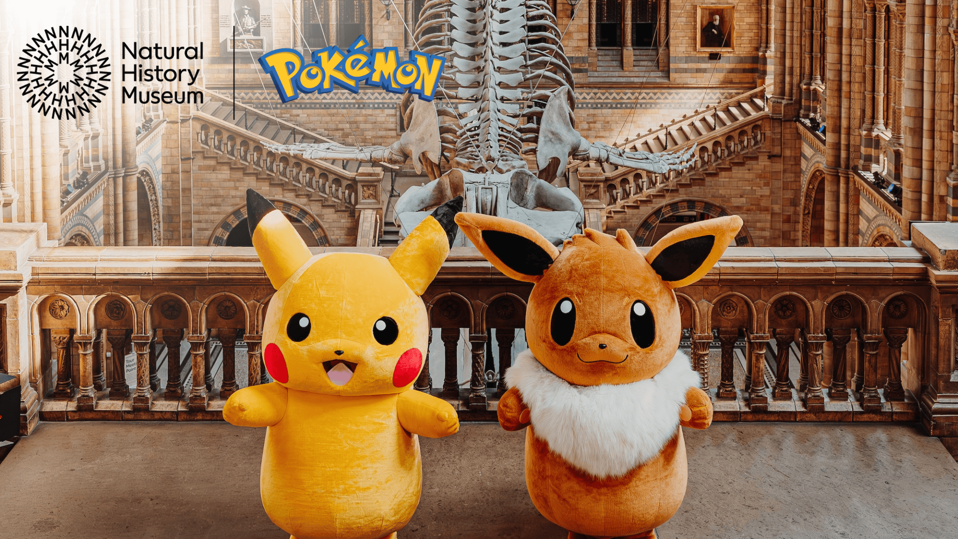 Pokemon-Natural-History-Museum.png